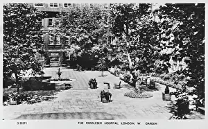 Sunny Prints: Middlesex Hospital Garden, Mortimer Street, London