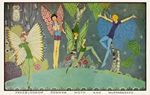 A Midsummer Nights Dream