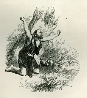 A Midsummer Nights Dream