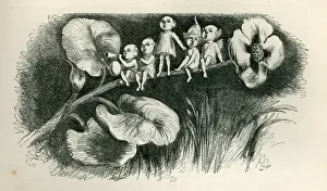 A Midsummer Nights Dream