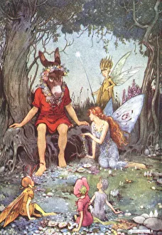 Midsummer Nights Dream