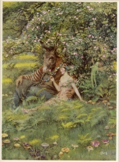 Images Dated 16th October 2007: Midsummer Nights Dream