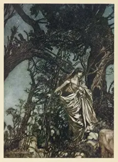 Midsummer Nights Dream