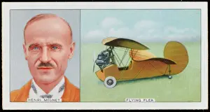 Mignet & Flying Flea