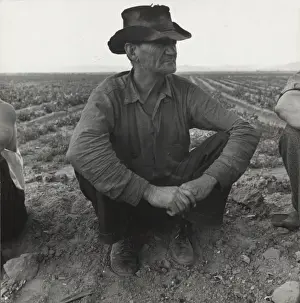 Migrant Prints: Migrant agricultural worker. Near Holtville, California