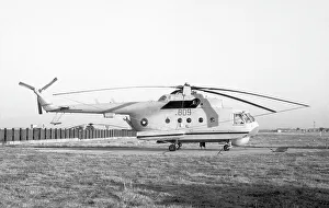 Rotary Wing Prints: Mil Mi-14PL 809