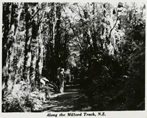 Milford Track, New Zealand