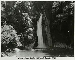 Waterfalls Prints: Milford Track, New Zealand -- Giant Gate Falls