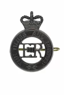 Images Dated 28th January 2013: Military Badge