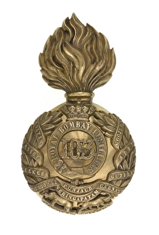 Images Dated 26th September 2013: Military Badge