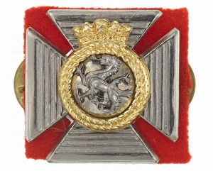Images Dated 26th September 2013: Military Badge