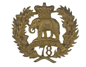 Military Badge