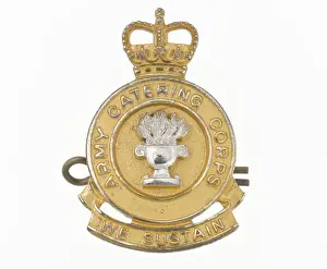 Military Badge