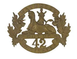 Military Badge