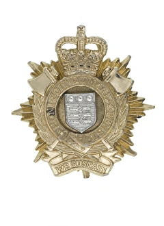 Images Dated 3rd October 2013: Military Badge