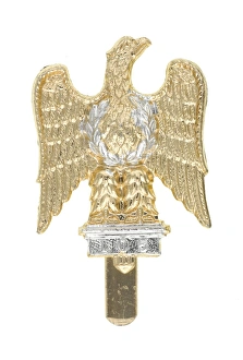 Images Dated 3rd October 2013: Military Badge