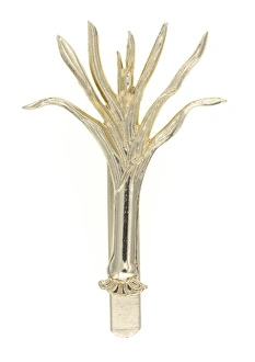 Images Dated 3rd October 2013: Military Badge
