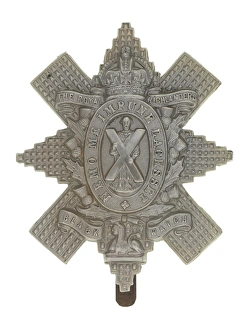 Images Dated 3rd October 2013: Military Badge