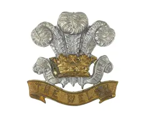Military Badge