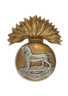 Images Dated 7th November 2013: Military Badge