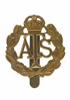 Images Dated 7th November 2013: Military Badge