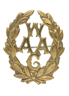 Images Dated 7th November 2013: Military Badge