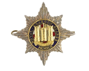 Images Dated 7th November 2013: Military Badge