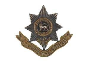 Images Dated 7th November 2013: Military Badge
