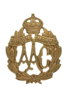 Images Dated 7th November 2013: Military Badge