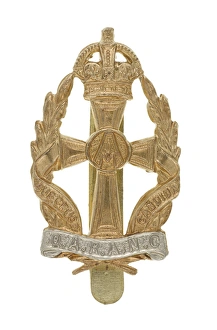 Images Dated 7th November 2013: Military Badge