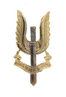 Images Dated 7th November 2013: Military Badge