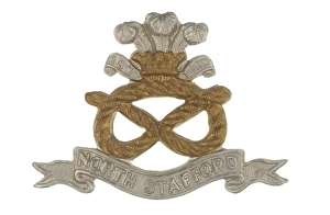 Images Dated 7th November 2013: Military Badge