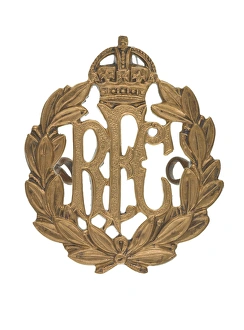 Images Dated 7th November 2013: Military Badge