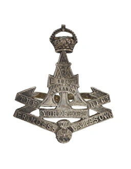 Images Dated 20th February 2012: Military Badge