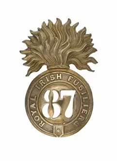 Images Dated 19th April 2012: Military Badge