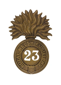 Images Dated 19th April 2012: Military Badge