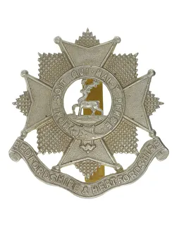 Images Dated 7th June 2016: Military Badge