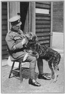 Keeper Collection: Military police Airedale dog at Aldershot