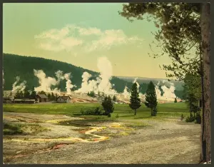 Military Post and giantess group, Yellowstone Park