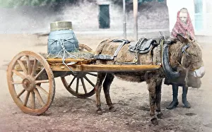 Killarney Prints: Milk cart, Killarney, Ireland, Victorian period