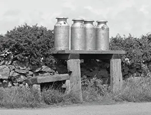 Platform Gallery: Four milk churns at the side of a country road