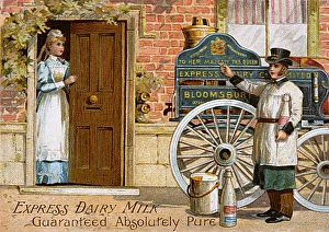 Absolutely Gallery: Milk from Express Dairy