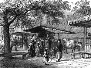 Milk Fair St James Park