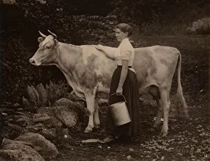 Bucket Collection: Milk maid with a cow