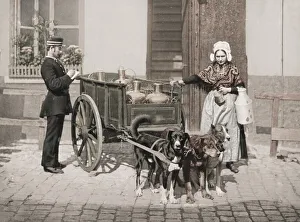 Milk maid and dog milk cart Belgium