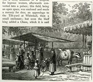 Milk refreshment stall, St Jamess Park, London