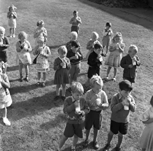 Milk for school children, 1955