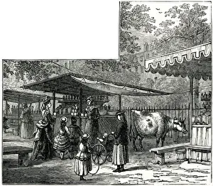 Milk Stalls in St Jamess Park, London Milk Stalls in St Jamess Park, London