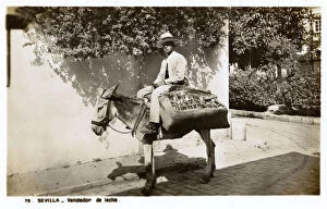 Seville Collection: Milk vendor on a donkey, Seville, Spain