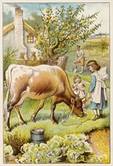 Milking Cow / Children
